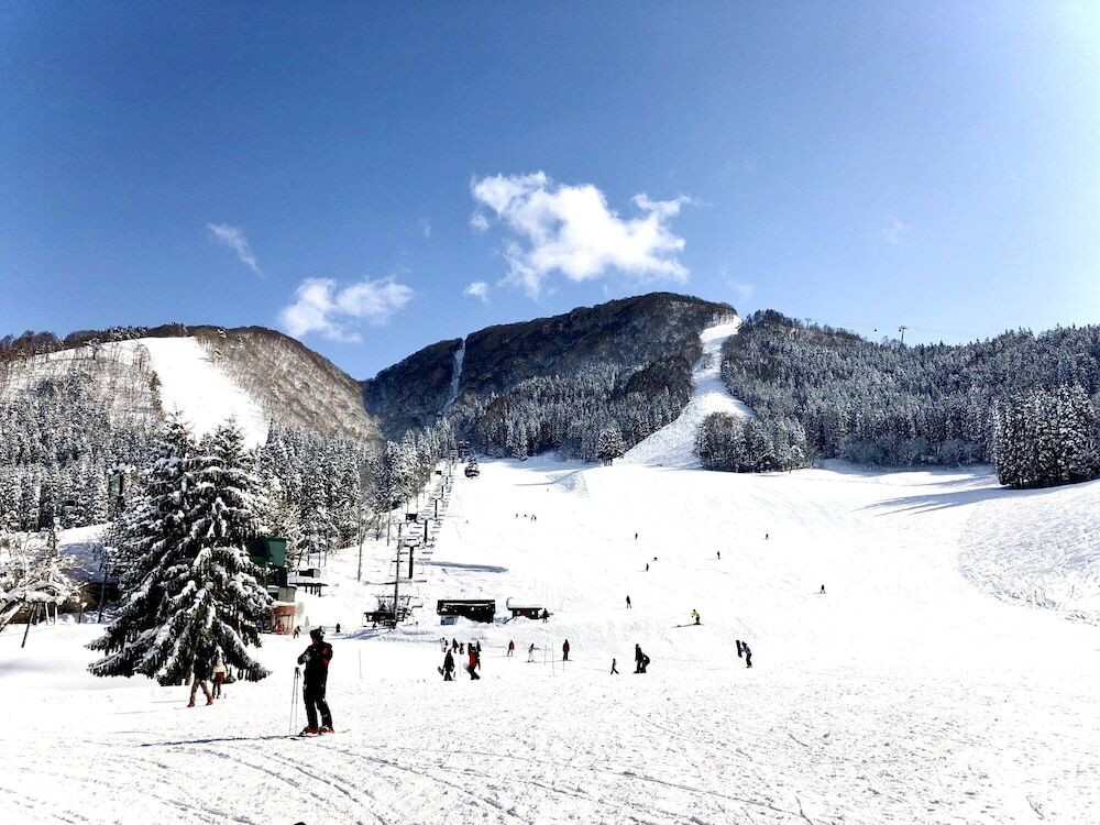 スノー スポーツとスキー