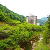 塩江温泉 新樺川観光ホテル（香川県 旅館） / 5