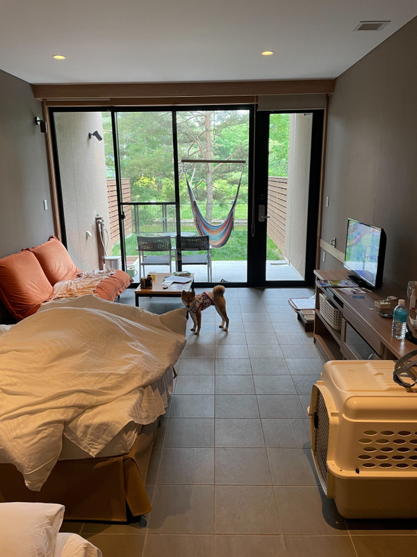 pinky.yuki_go.kam2さんの写真 / 1