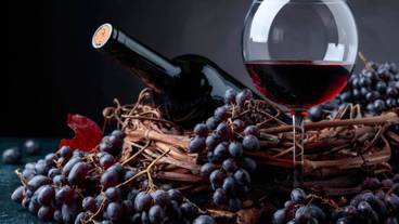 レストラン / 20