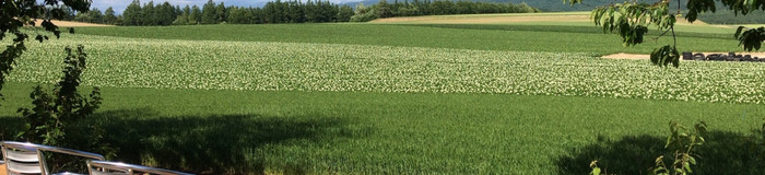 北海道一人旅はゲストハウスがおすすめ♪快適に過ごせるお宿12選