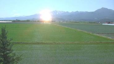 施設からの眺望 / 5