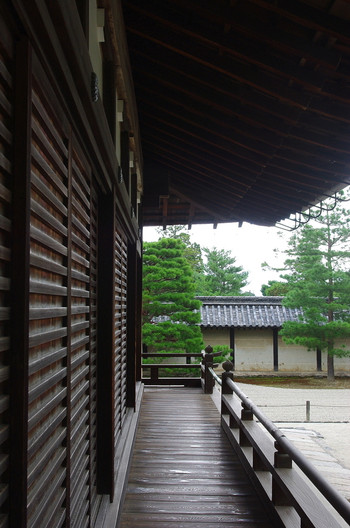 嵯峨野嵐山の中でも人気スポット「天龍寺」901651