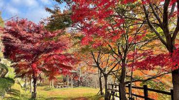 施設からの眺望 / 26