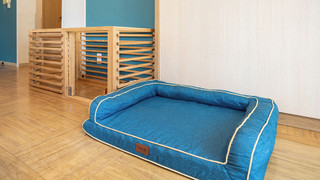 リニューアル ペットルーム 2F 禁煙 (3歳以下のお子様は添い寝となり無料の為, 検索時の予約人数に含めないで下さい)