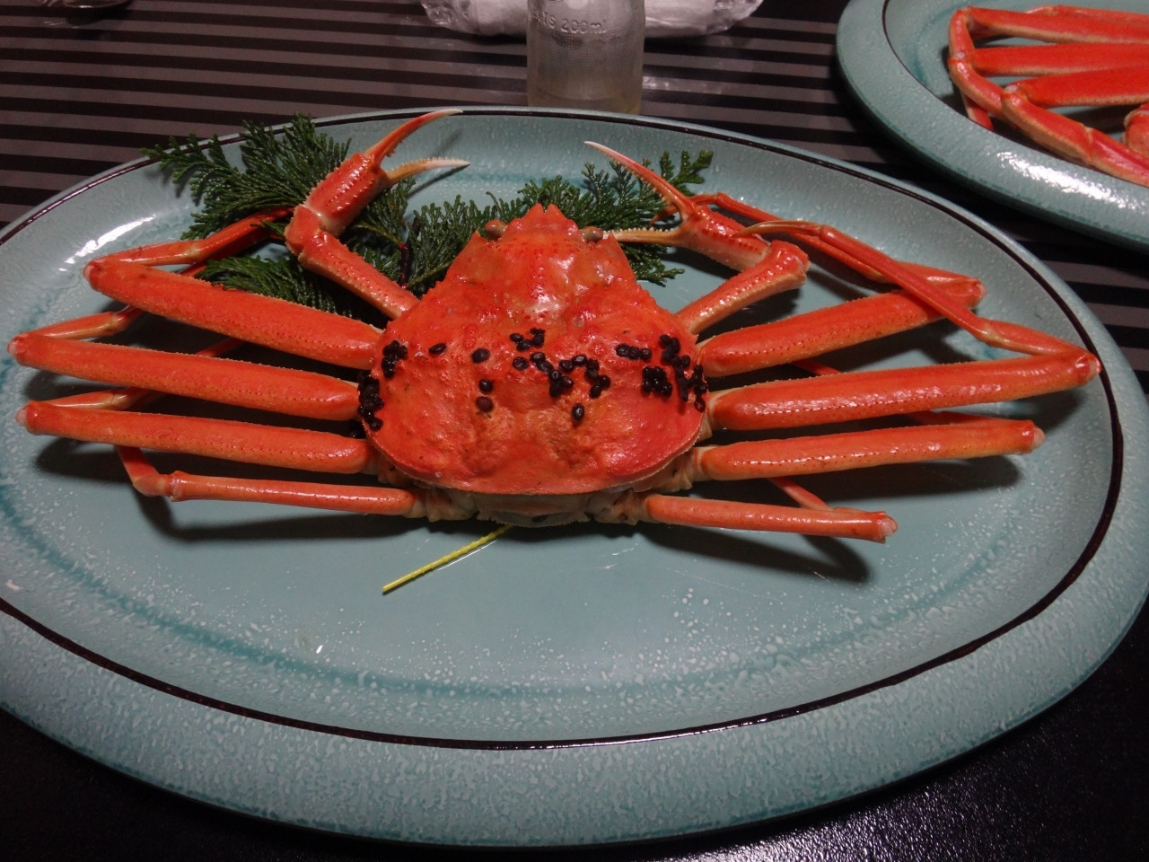 畳敷で心地よい。越前海岸に佇む絶景とグルメ自慢のお宿で癒される4246586
