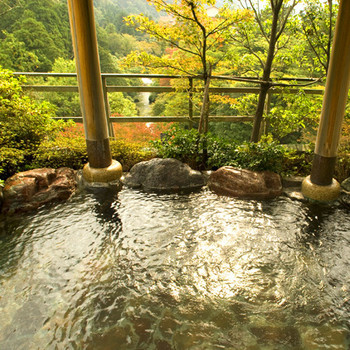 北陸屈指の温泉展望露天風呂が素晴らしい！3521901