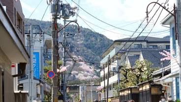 シティ ビュー / 17