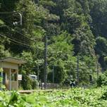 日常を忘れたいなら。ローカル線でのんびり行く、私たちだけの春の女子旅