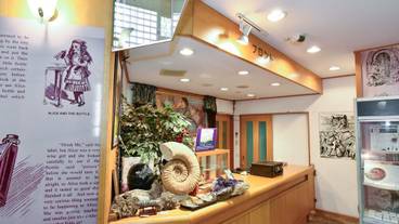 内装の詳細 / 19