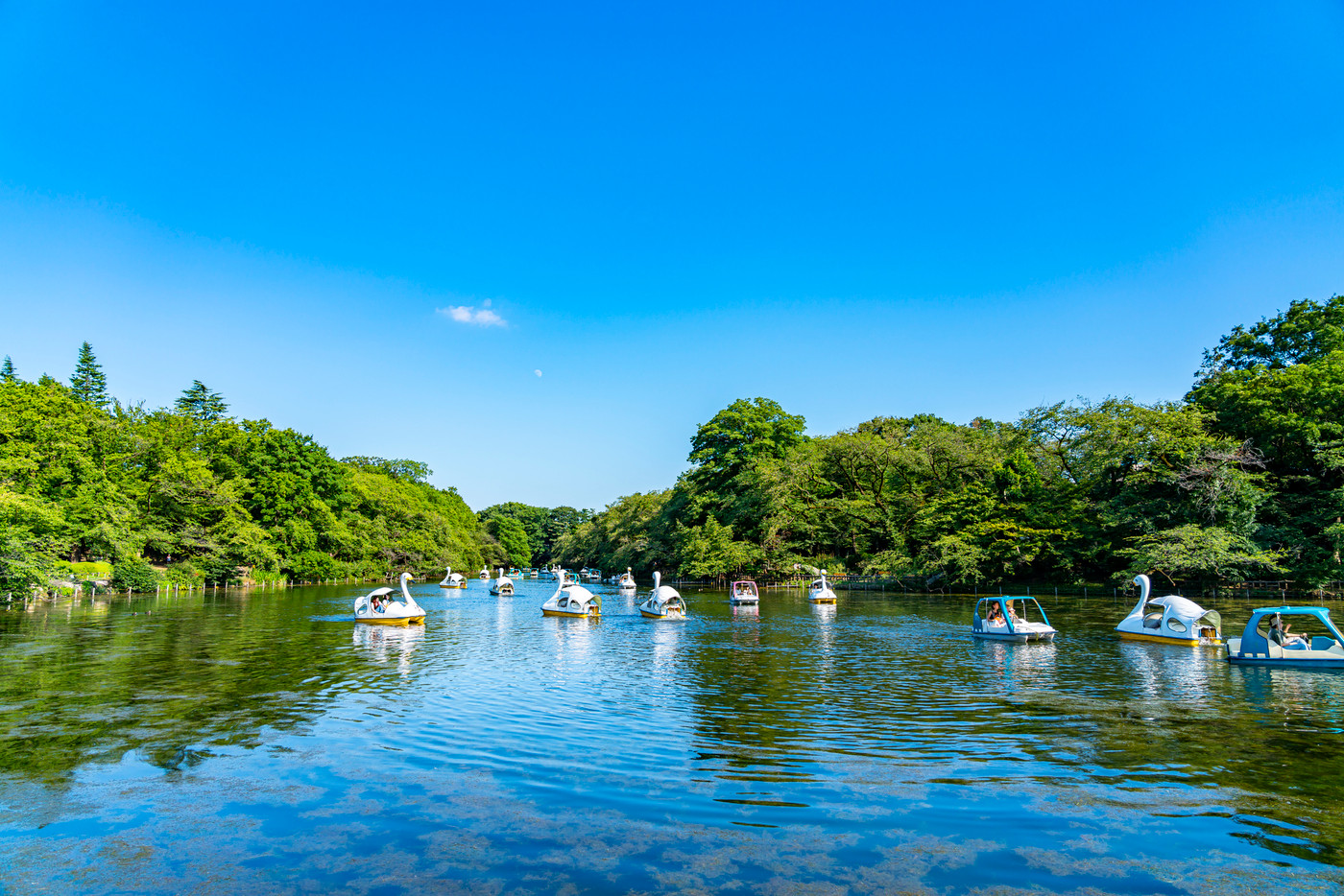 【東京都】吉祥寺 井の頭公園