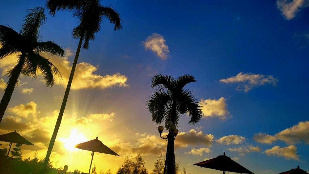 k.misato.jhさんの写真 / 1