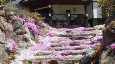 施設の正面 / 10