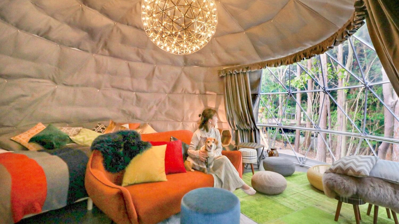 ドーム型テントやBBQディナー♪おしゃれなグランピングを愛犬と体験3931962