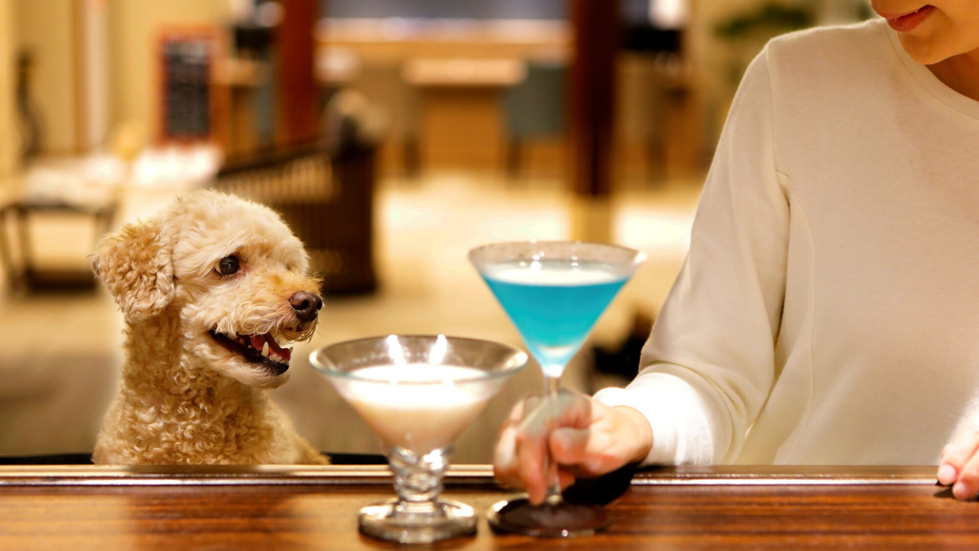 バーラウンジ カクテル