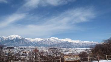 スノーシュー / 14