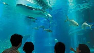 観光スポット / 22