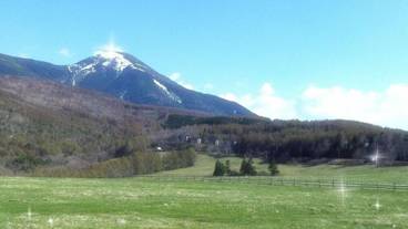 施設の敷地 / 18