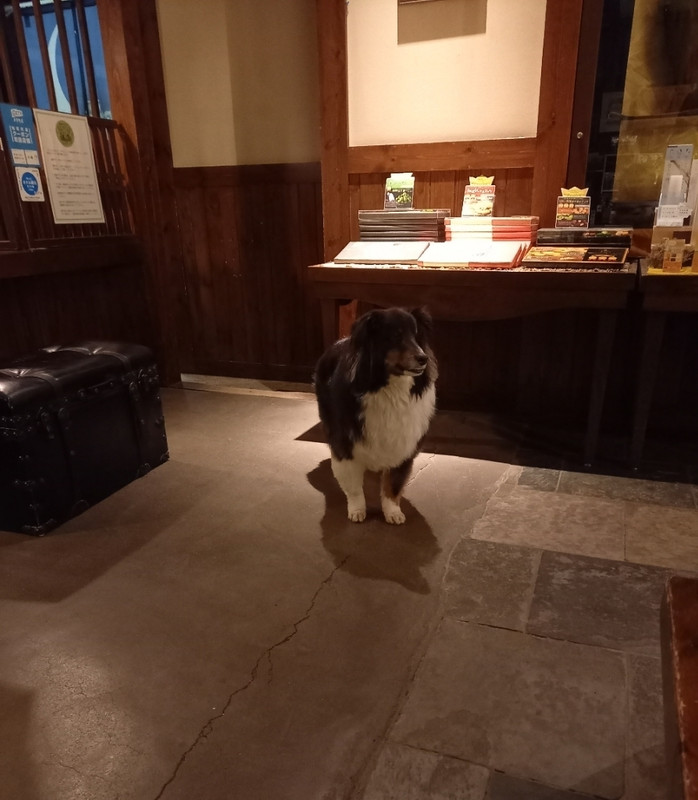 看板犬 カナルくん