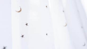 内装の詳細 / 16