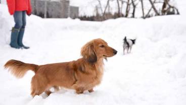 施設の敷地 / 18