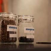 東急ステイ渋谷（東京都 ビジネスホテル） / 2