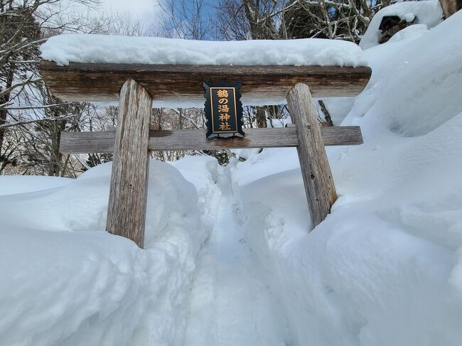 雪が深かった鶴の湯神社