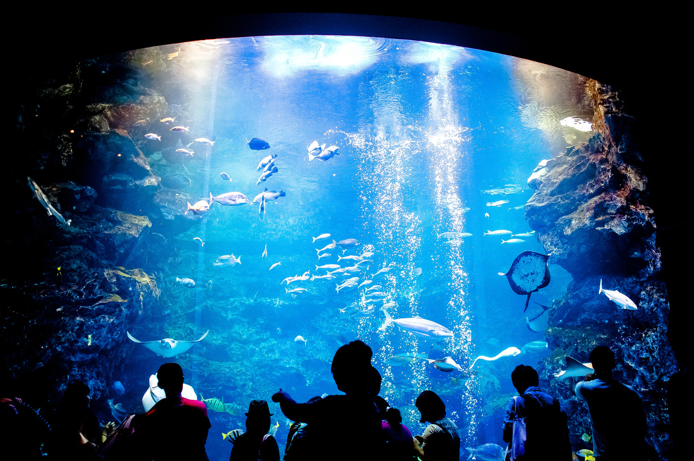 Aquarium