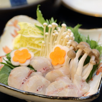 ヘルシーな鍋料理で富山の味覚を食べ尽くす3517580