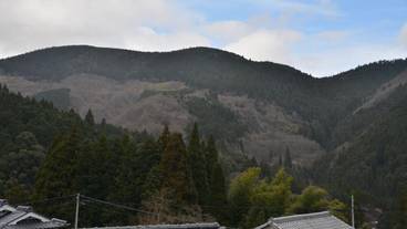 施設の敷地 / 11