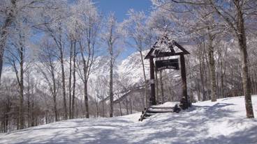施設の敷地 / 25