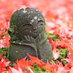 京都の秋を楽しもう。紅葉の美しい神社やお寺5選
