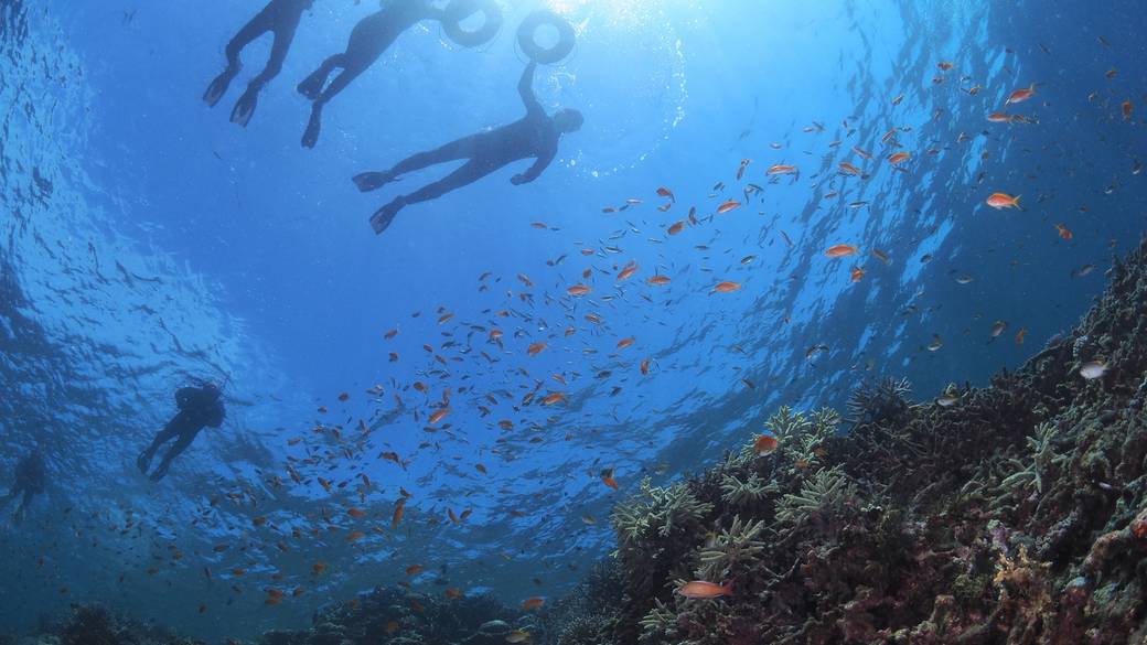 乗馬やクルージングも
豊富なアクティビティ
 / 1