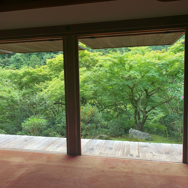 秋には真っ赤な紅葉が広がる / 3