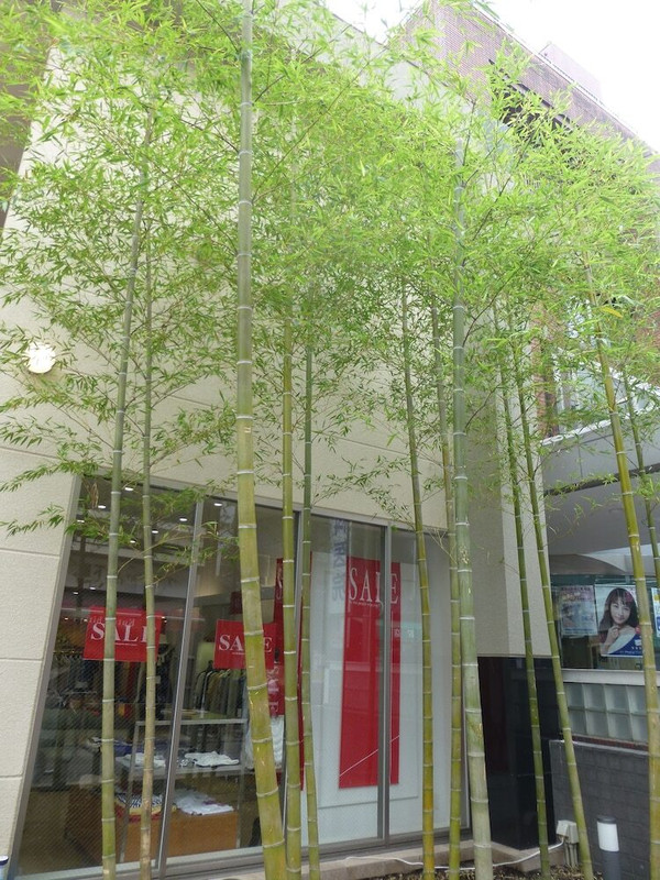 施設の入り口