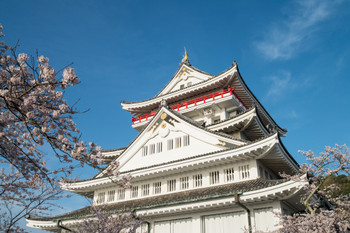 Atami Castle during cherry blossom season