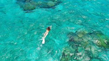 サーフィン / ボディボード / 2