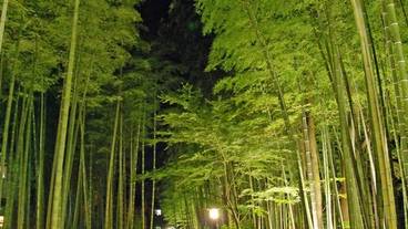 伊豆マリオットホテル修善寺(イズマリオットホテルシュゼンジ) / 1