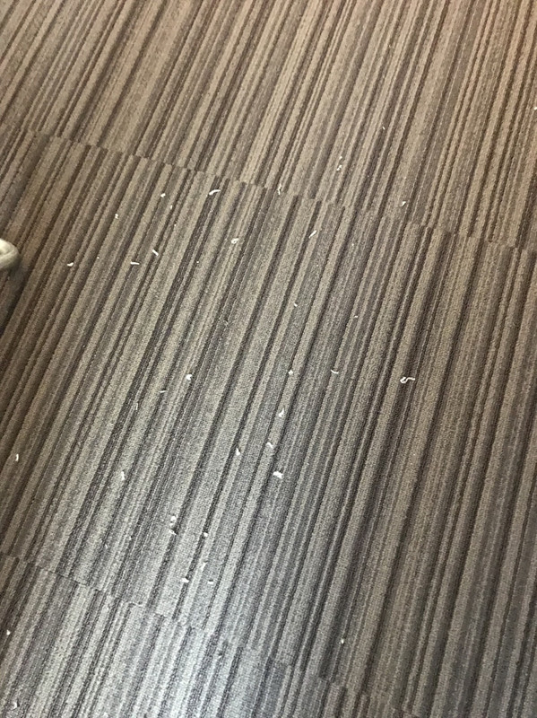 クーラーの掃除したらとびちりやらない方がマシ