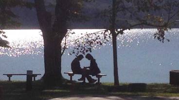 施設の敷地 / 29