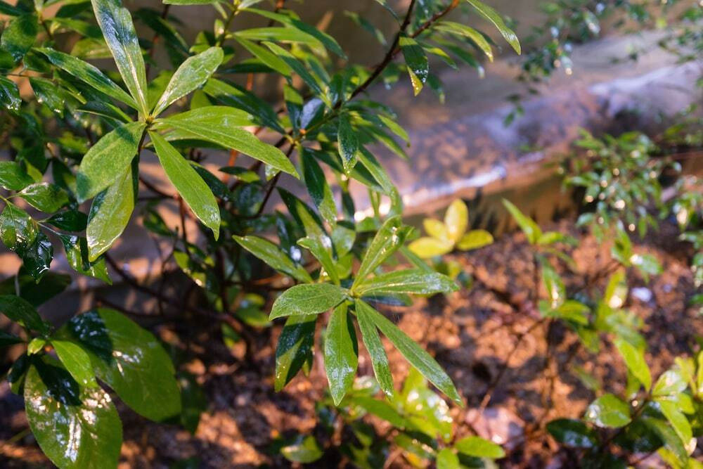 施設からの眺望