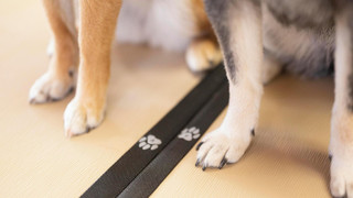 レイクビュー 和室12.5畳 (禁煙)