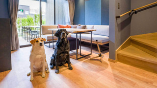 Rakuten STAY VILLA 那須 / [ペット同室可] 10名定員 禁煙