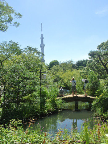 向島百花園969149
