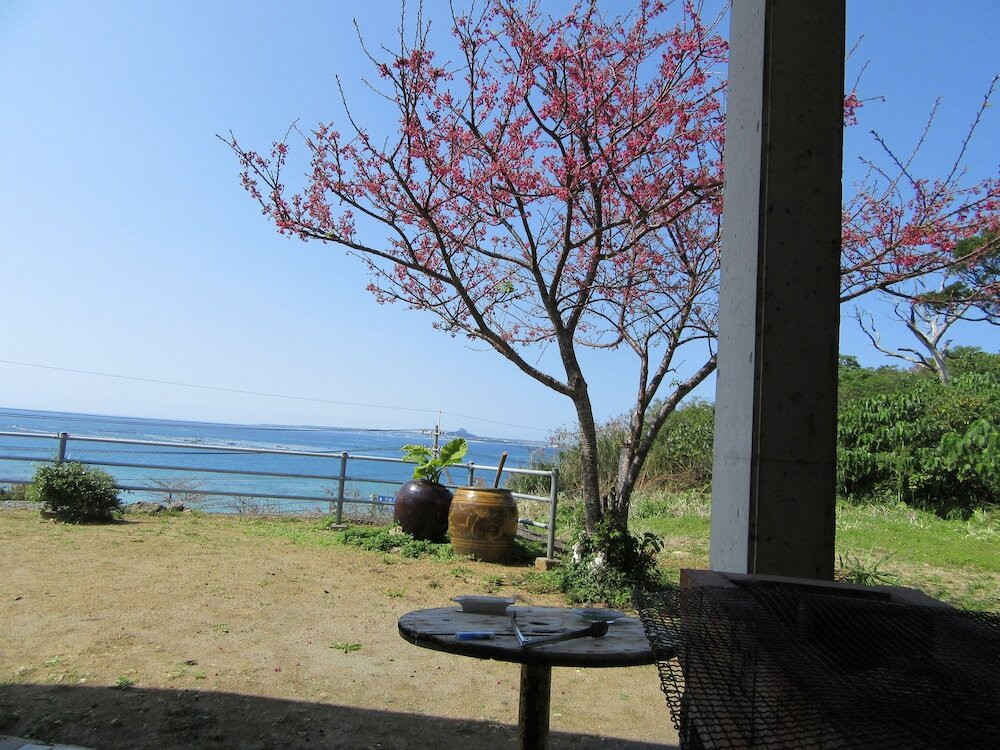 テラス / パティオ