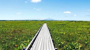 観光スポット / 4