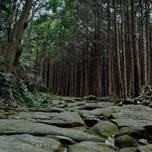 熊野古道を旅する。伊勢神宮からのルート「伊勢路」を歩こう