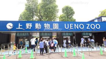 観光スポット / 8