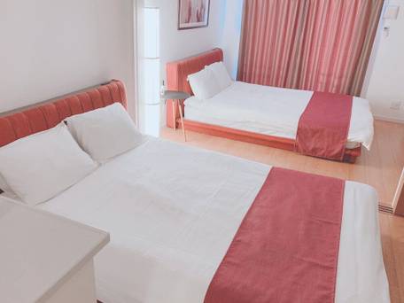 EUROPEAN HOUSE REISEN / 1