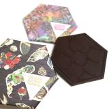 USHIO CHOCOLATL（ウシオチョコラトル）